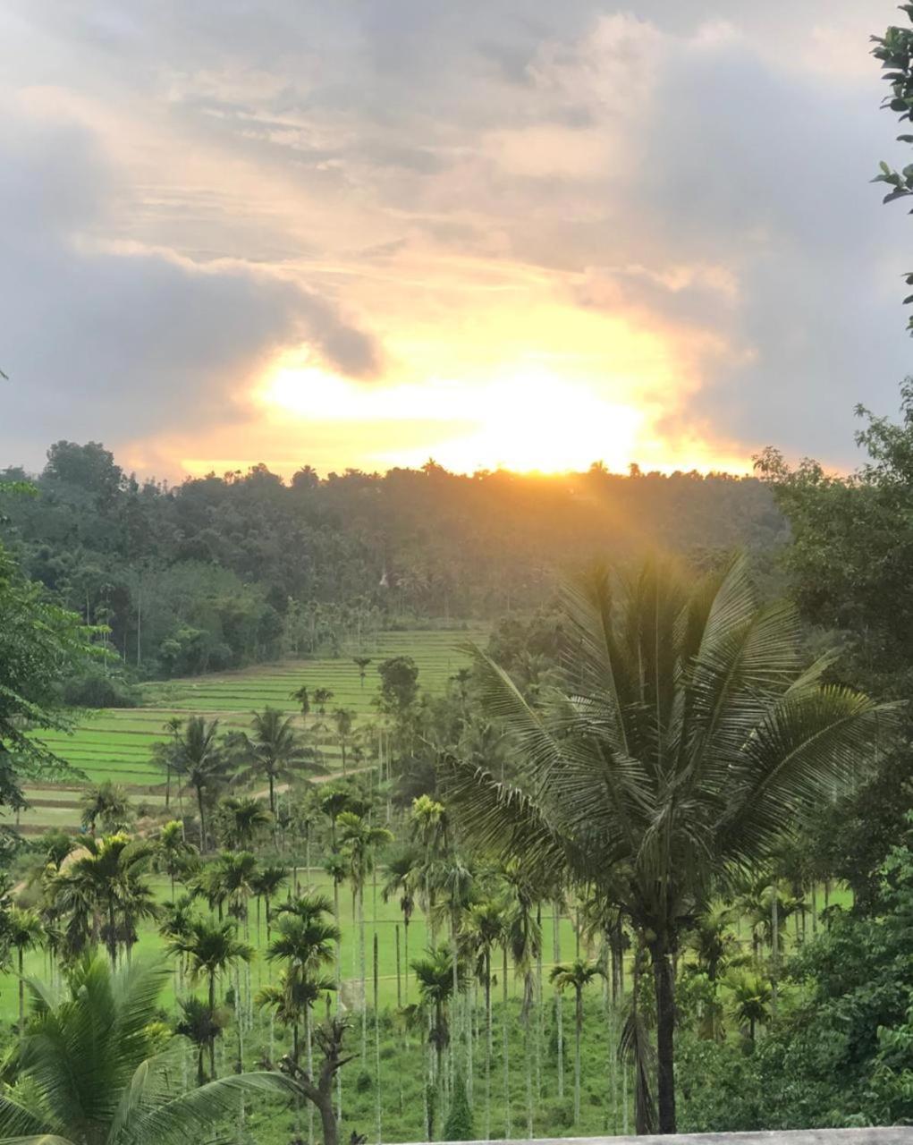 Angels Nest Home Stay 2 Acra Private Plantation Mountain Area Balconey Sunrice View Nearby Ngarhole Wild Life , Tholpetty Wild Life , Pakshipathalam Bird Santuary , Kuruva Island # Thirunelly & Thrissilery Temple Near By Secure Stay Wayanad Kerala Chegāt Exterior foto